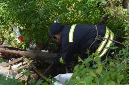 Закарпатські рятувальники розчищають значні сміттєві затори на річках (фото)