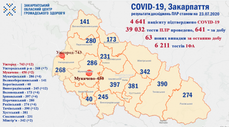 COVID-19 на Закарпатті станом на 23 липня, в розрізі районів