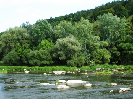 Погодні умови на території Закарпатської області, 28 липня