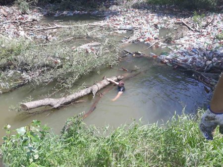Закарпатські рятувальники розчищають річку Боржава від сміттєвих заторів