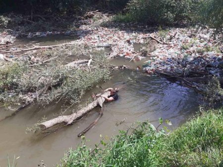 Рятувальники розчищають річку Боржава від сміттєвих заторів (відео)