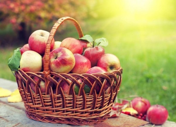 Кого 19 серпня треба обов'язково пригостити яблуками ...