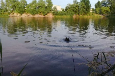 На Закарпатті в озері потонув чоловік