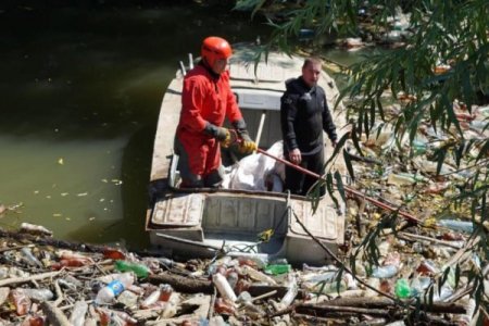 На Закарпатті йде активна робота з розчищення русел річок від сміттєвих заторів