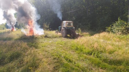 На Берегівщині, рятувальники та лісники провели спільні пожежно-тактичні навчання