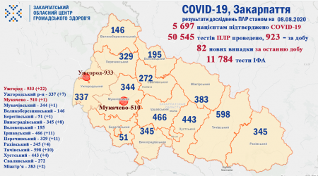 Ситуація щодо COVID-19 на Закарпатті станом на 9 серпня, в розрізі районів