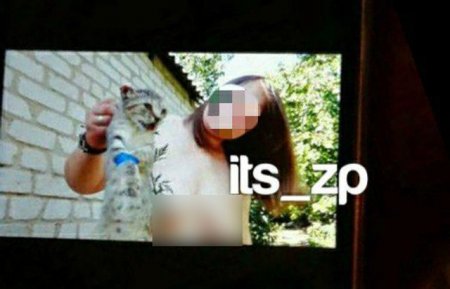 Знімали порно з нерухомими тваринами: групу шкуродерів-збоченців викрили на Запоріжжі