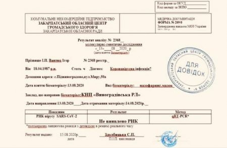 Через хворобу голова Виноградівської РДА не може приступити до роботи