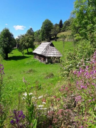 На околицях Лопухова збереглася стара будівля початкової школи (фото)