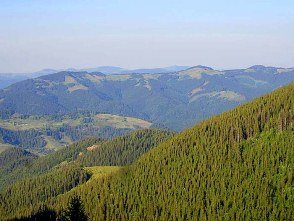 На Рахівщині шукають двох жінок які безслідно зникли у лісі