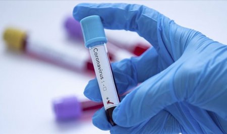 Коронавірус на Закарпатті: одна людина померла 84 нові хворі 