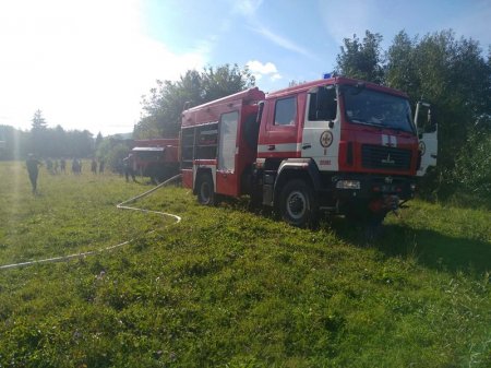 Тячівські рятувальники ліквідували пожежу площею 450 кв.м