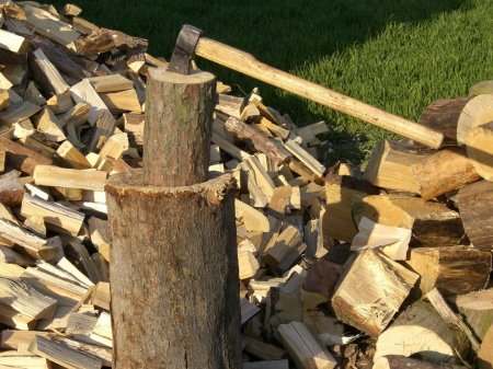 Закарпатські лісники озвучили ціни на дрова у новому сезоні