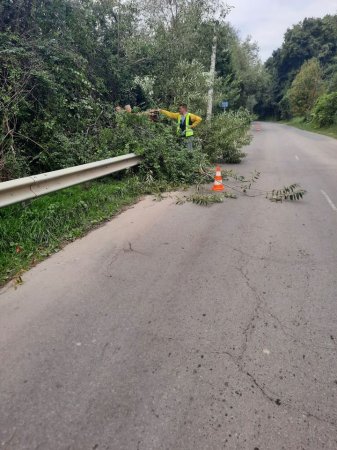 На Рахівщині люди самотужки чистять кювети, та обрізають дерева попри дорогу, щоб дорожники зробили дорогу