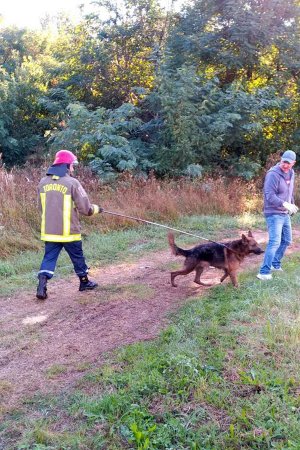 Ужгородські рятувальники витягли собаку, який впав у каналізаційний люк