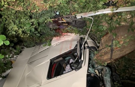 Смерть на дорозі: На  Мукачівщині вантажівка злетіла у кювет (ФОТО, ВІДЕО 18+)