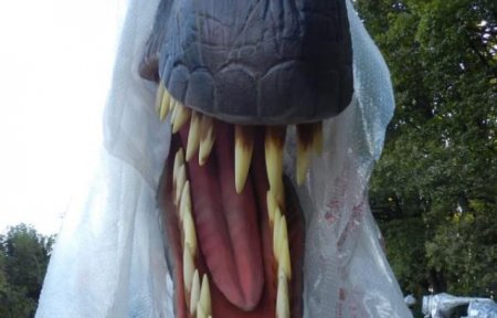 У найближчий час Закарпатці зможуть відвідати "Динопарк" (фото)