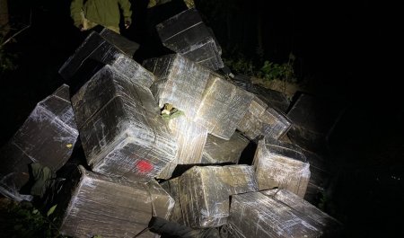 «Спудили» контрабандистів: На Закарпатті прикордонники знайшли в лісі контрабандні цигарки