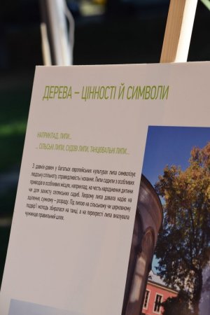 В Ужгороді планують збудувати відкриті велосипедні паркування (фото)