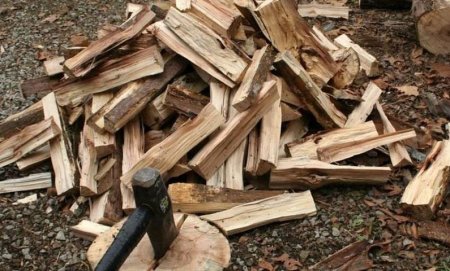 Ужгородський держлісгосп пропонує придбати дрова за доступними цінами