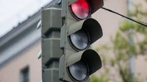 Курйоз дня: на Тячівщині свиня "дефілювала" на світофорі (відео)