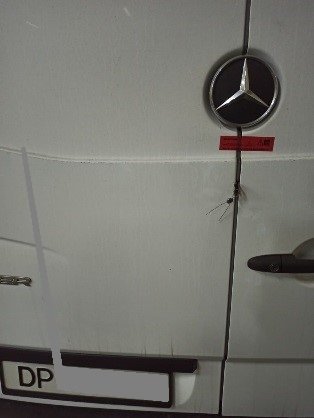 Справу "сигаретного" псевдодипломата, викритого на кордоні оперативниками, скеровано до суду