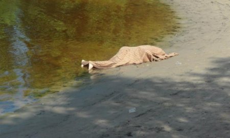 Поблизу Хуста біля річки виявили труп чоловічої статі