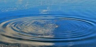 На Заккарпатт в каналі виявили потопельника (фото)