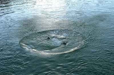 На Ужгородщині знайдено тіло потопленника