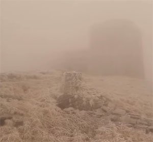 У Карпатах випав сніг