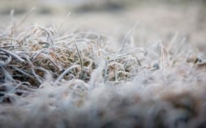 Закарпатців попередили про заморозки
