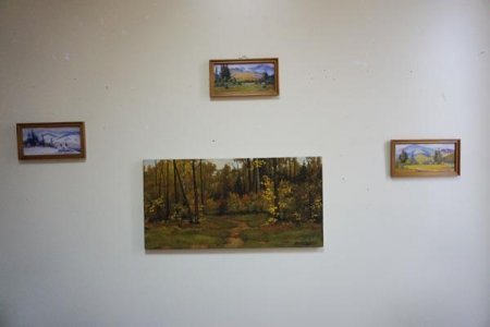 У тячівській галереї ім.Ш.Голлоші проходить виставка картин Василя Дочинця