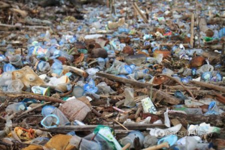 На Закарпатті планують будівництво унікального сміттєсортувального заводу (відео)