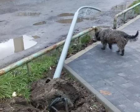 У мукачівському парку вандали вирвали електроопори (фото)