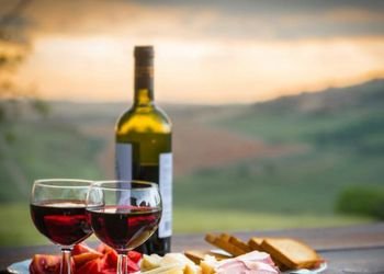 На Закарпатті та в Підкарпатському воєводстві розробили польсько-українські винні маршрути