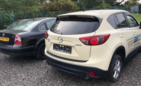 Цьогоріч закарпатські митники конфіскували 268 "євроблях"