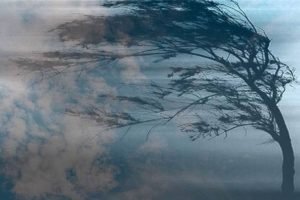 Закарпатців попереджають про сильний вітер