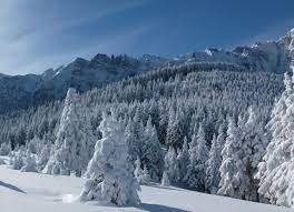 Мережу підкорює відео в якому показано зимові Карпати з висоти пташиного польоту