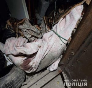 Зниклу 21-річну жінку знайшли зарізаною в підвалі (ФОТО)