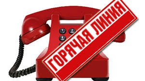 "Гаряча лінія": сьогодні краяни матимуть змогу поспілкуватись із керівництвом Закарпатської ОДА