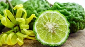 Вчені знайшли продукт, який знищує ракові клітини (ФОТО)