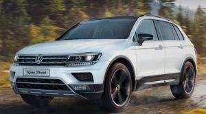 Пообіцяли «на халяву» джип — забрали останню копійку… Селянку підвела легковірність