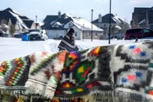Закарпатська джерга рятує від смертоносних морозів в американському штаті Техас