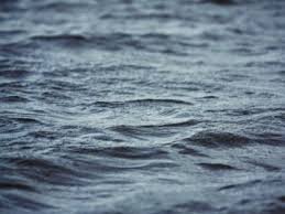 На Тячівщині в ставку втопився чоловік