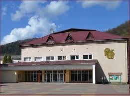 У Рахові "створять" сучасний "комунальний кінозал" для перегляду українського кіно