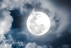 Учені хочуть створити на Місяці банк сперми на випадок загибелі Землі