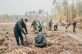 Лісгоспи Рахівщини об'єднають: очікуються звільнення
