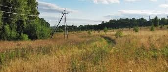 Рейдерське захоплення земель. Що відбувається? (відео)