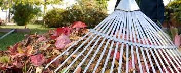 Територіальні громади дбають про свій благоустрій (відео)