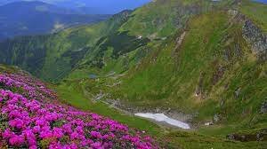 Закарпаття отримало додаткову субвенцію із держбюджету на фінансування медицини, освіти та інфраструктури